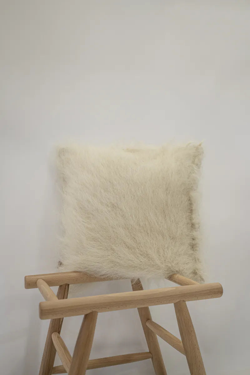 Pute 06