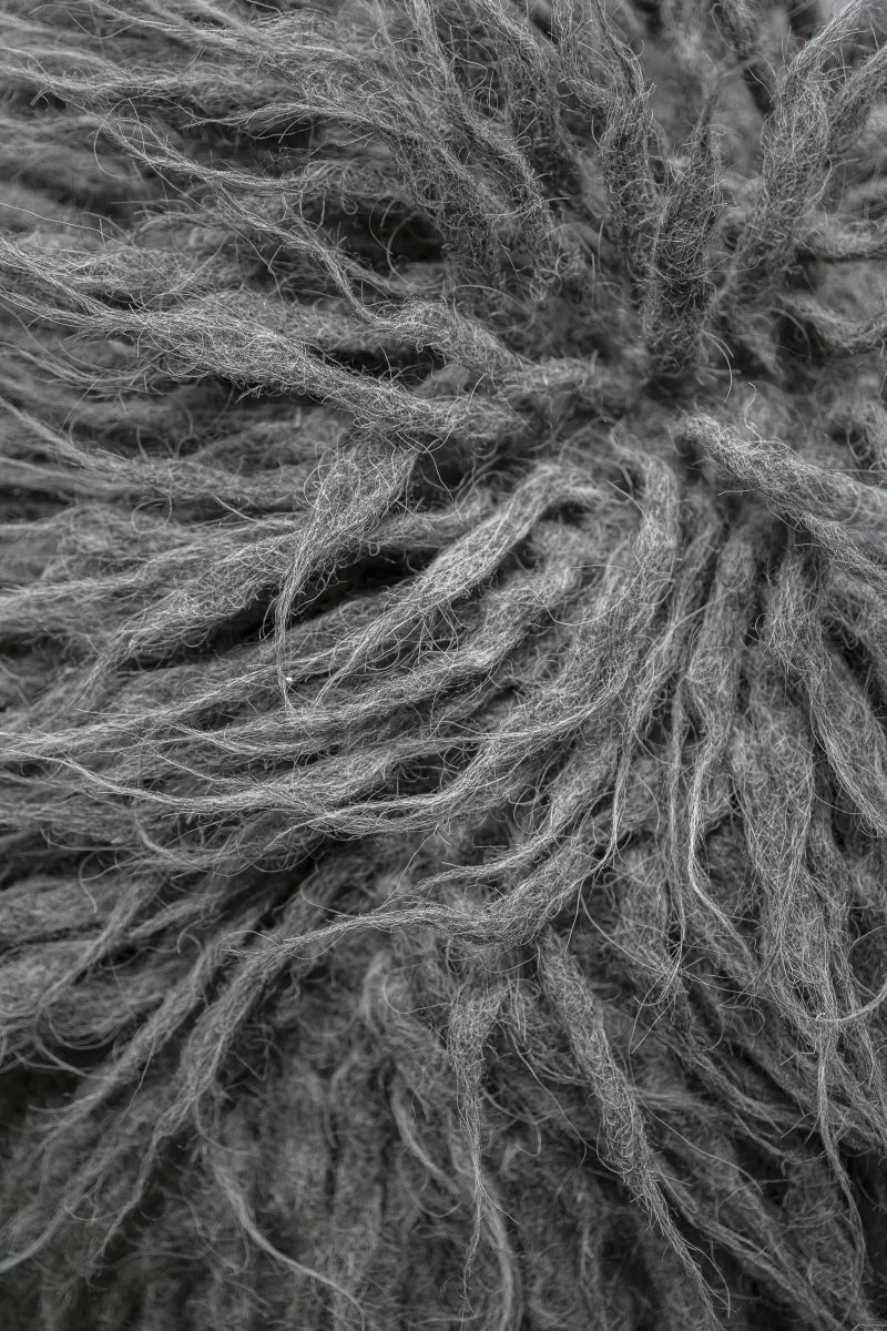 Pute 010