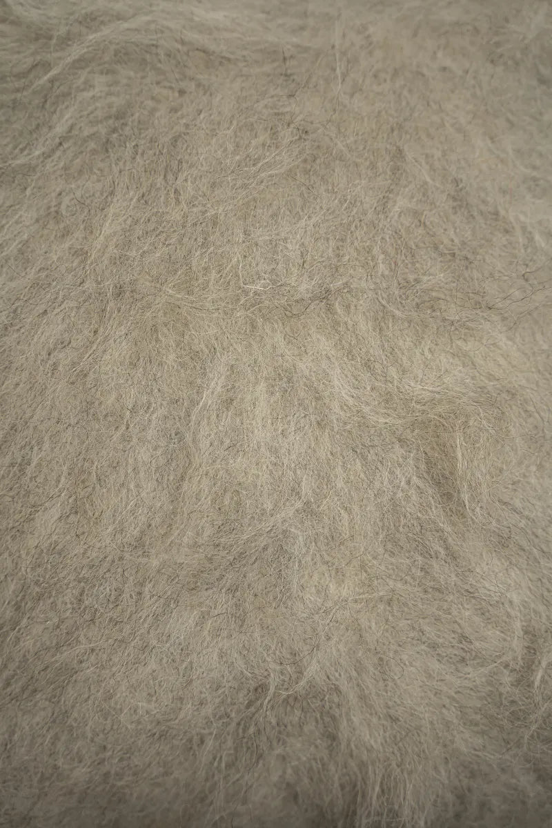 Pute 05