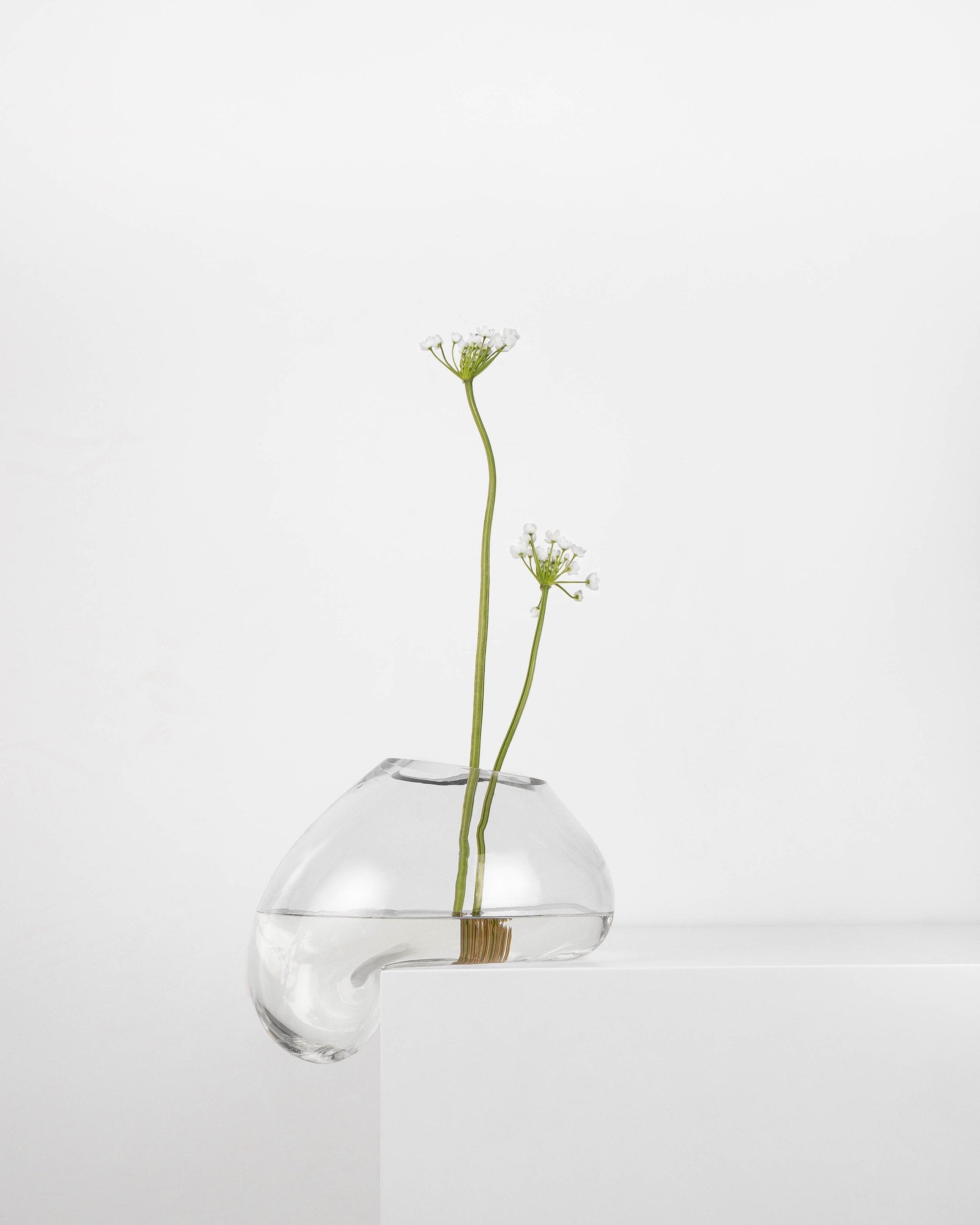 Gutta Vase CS1