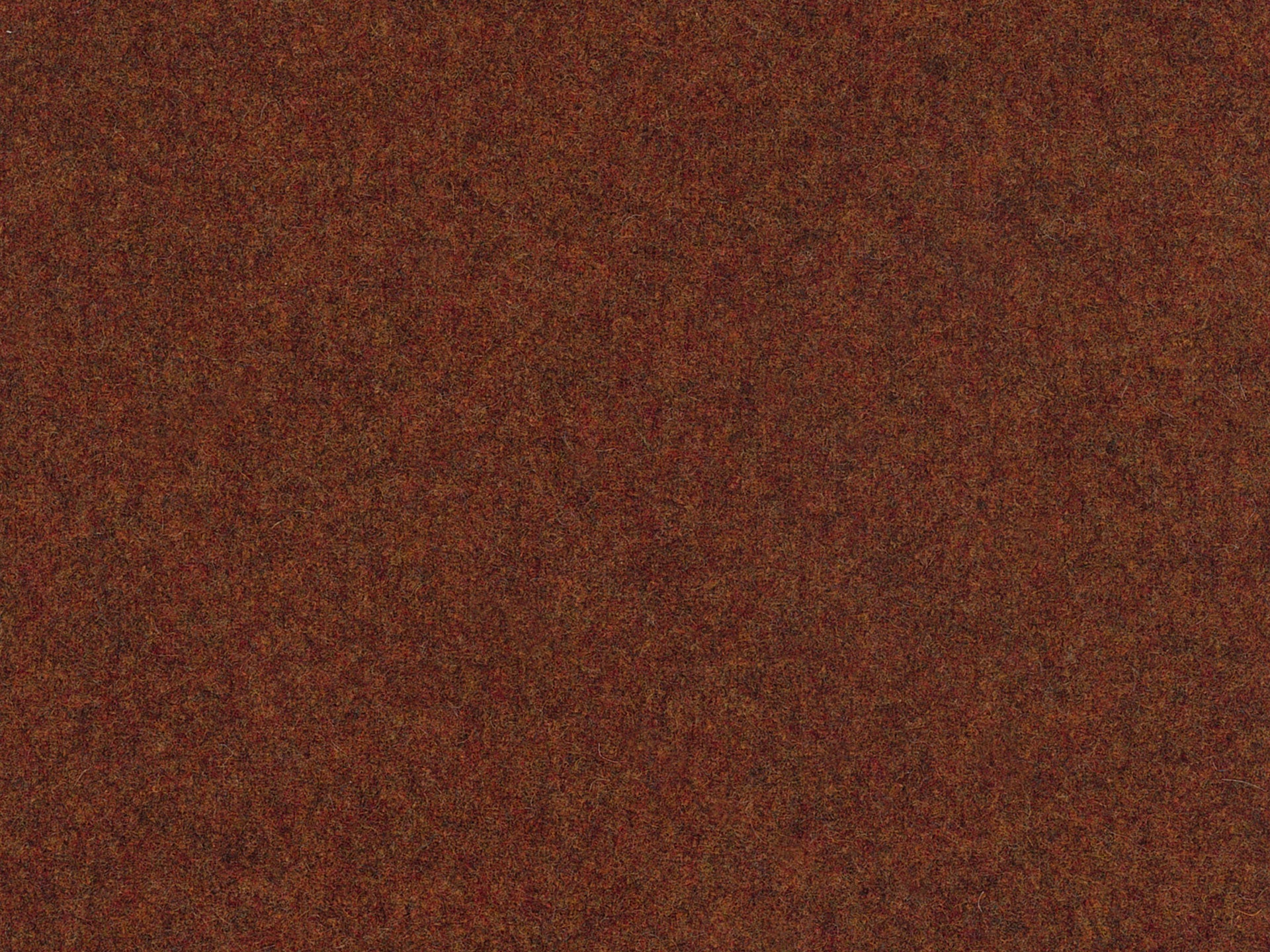 Wooland Warm Brown