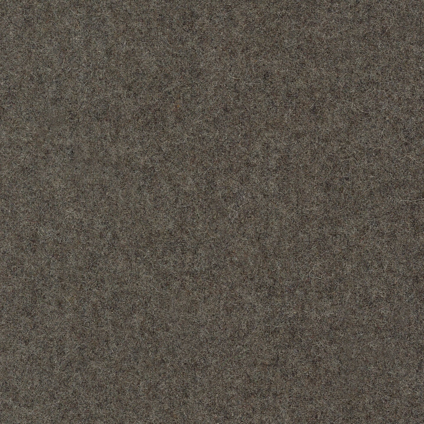 Wool Brown 64