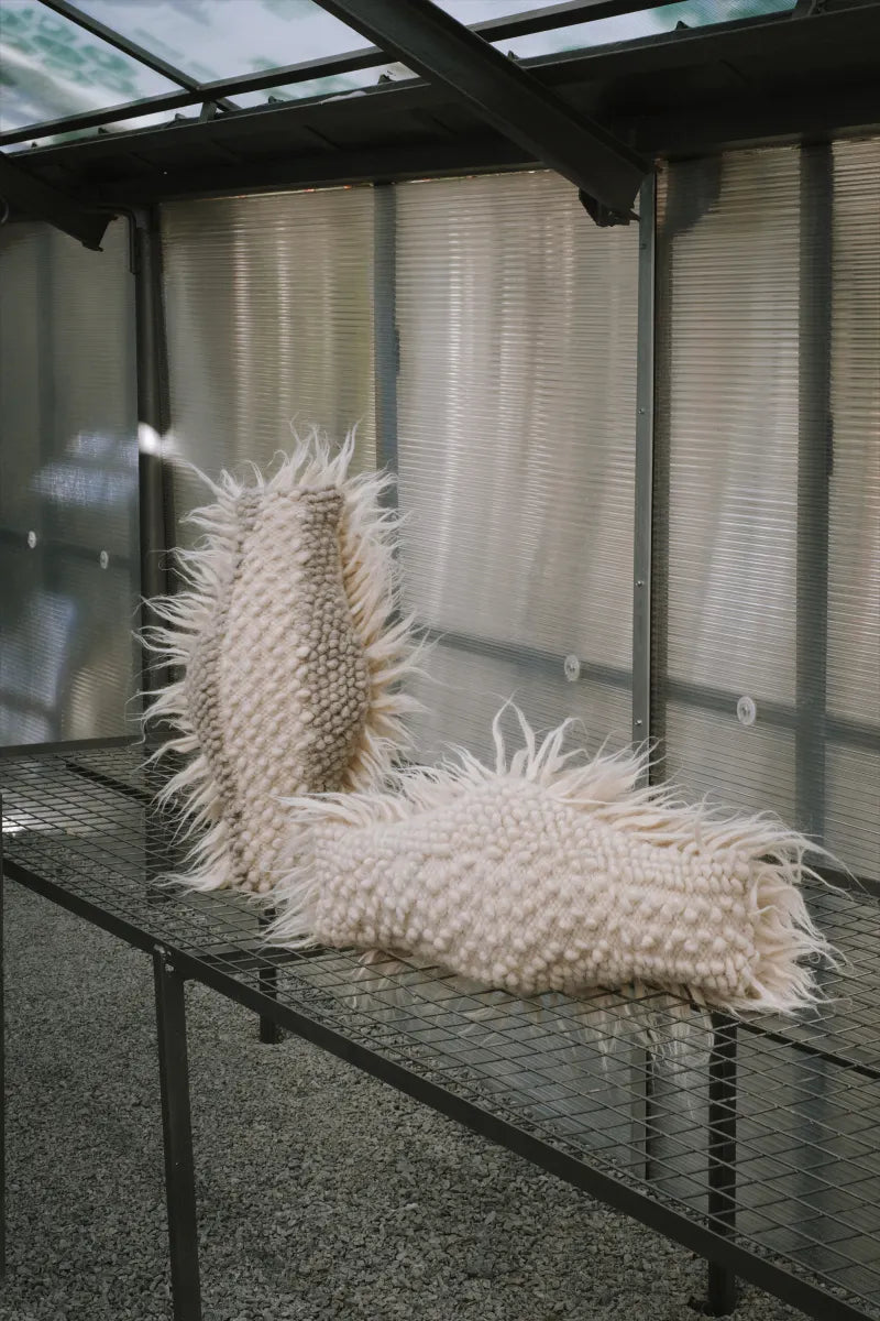 Pute 02